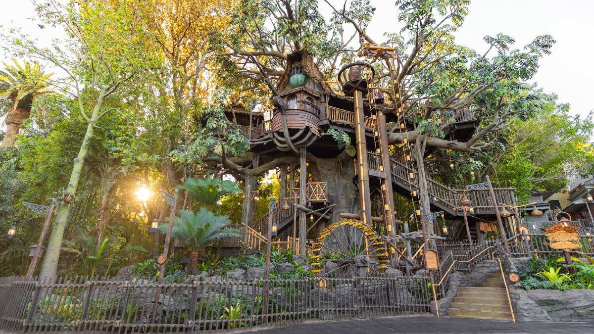 Adventure Treehouse. Adventure Treehouse.