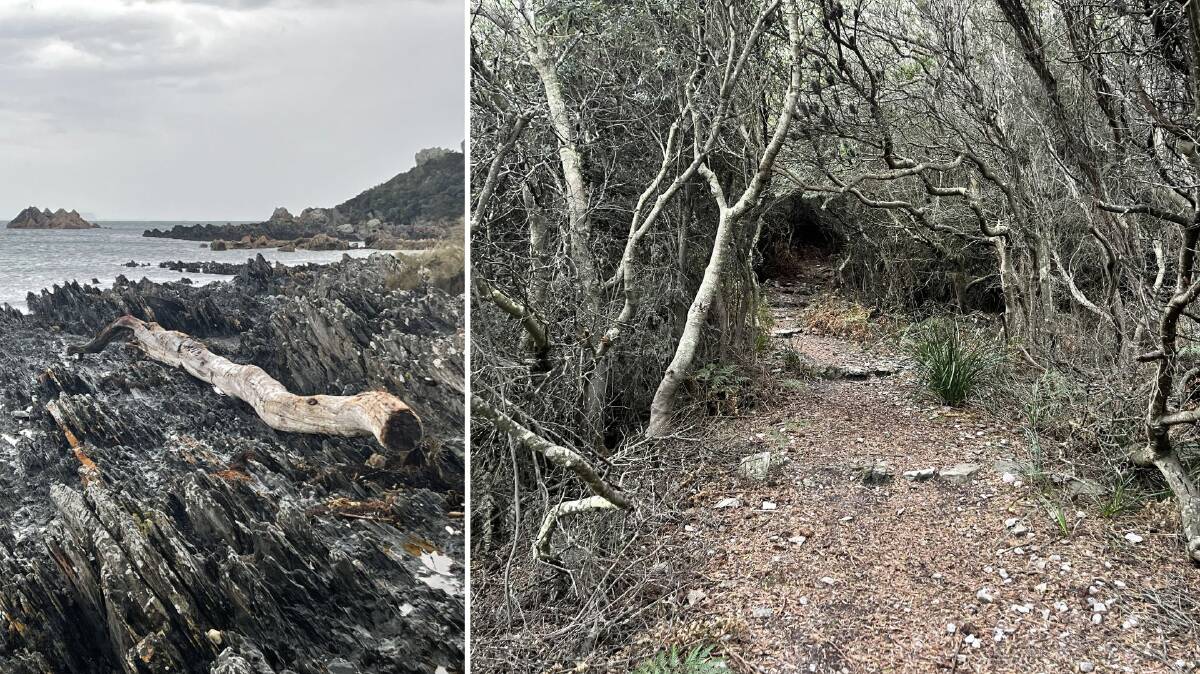 A shore of Rocky Cape National Park and the pathway to the South Cave. Pictures by Ayden Dawkins