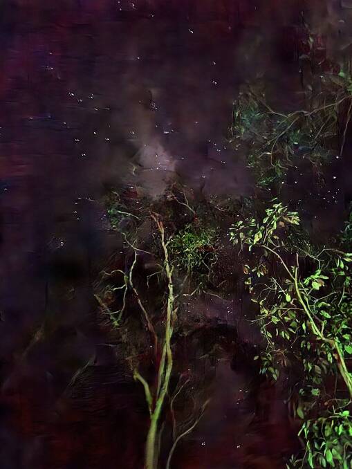 There are so many stars - and I now know how to use them to navigate.