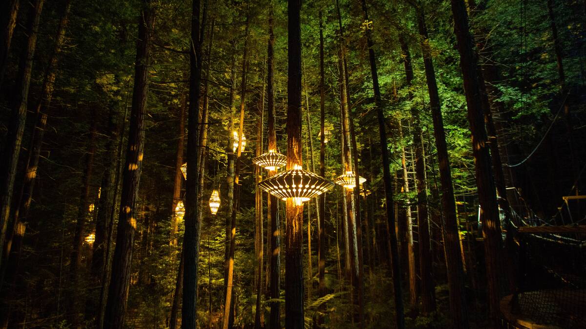 10 amazing after-dark adventures you can only have in New Zealand 10 amazing after-dark adventures you can only have in New Zealand
