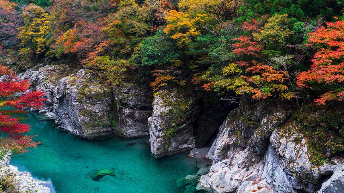 Australians are flying to Japan in big numbers, but this spot remains undiscovered Australians are flying to Japan in big numbers, but this spot remains undiscovered