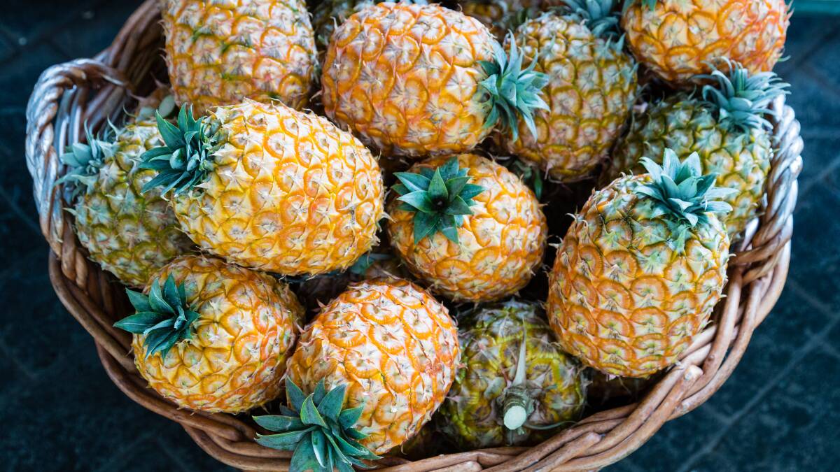 A basket of small, firm, juicey pineapples in Azores. Picture by Getty Images A basket of small, firm, juicey pineapples in Azores. Picture by Getty Images