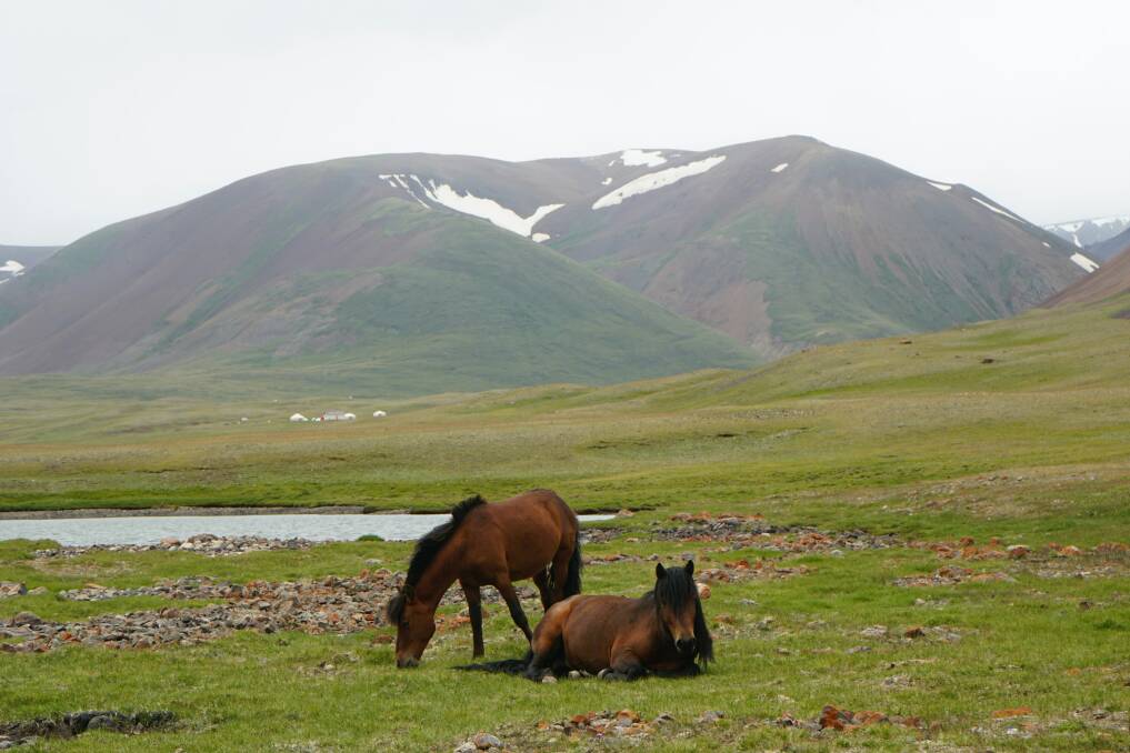 Mongolia is popping up on multiple "best places to visit in 2025" lists. Picture: Unsplash