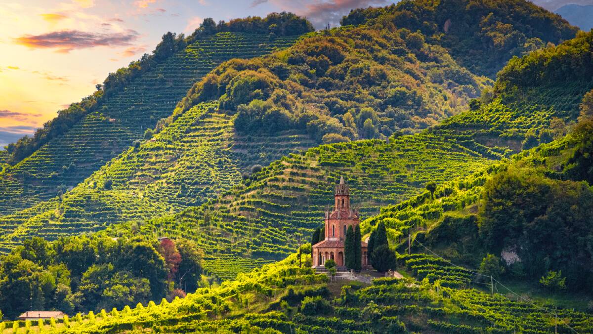 Battle of the world's best sparkling-wine regions: Champagne v Prosecco