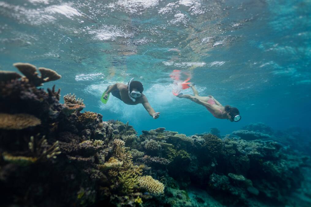 Underwater adventures at the Naidiri Marine Biodiversity Park in Fiji. Picture: Elliot Grafton Underwater adventures at the Naidiri Marine Biodiversity Park in Fiji. Picture: Elliot Grafton