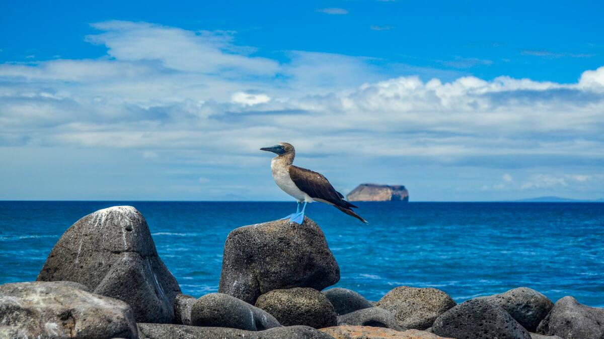 Savvy travellers are choosing off-peak cruises - here's why you should too Savvy travellers are choosing off-peak cruises - here's why you should too