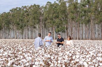 The surprising reason travellers are heading to this NSW food region