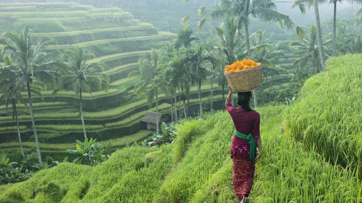 Go offbeat: Bali beyond the beaches Go offbeat: Bali beyond the beaches