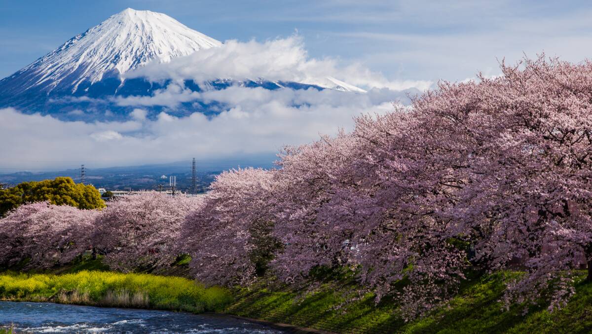 Shizuoka Prefecture. Shizuoka Prefecture.
