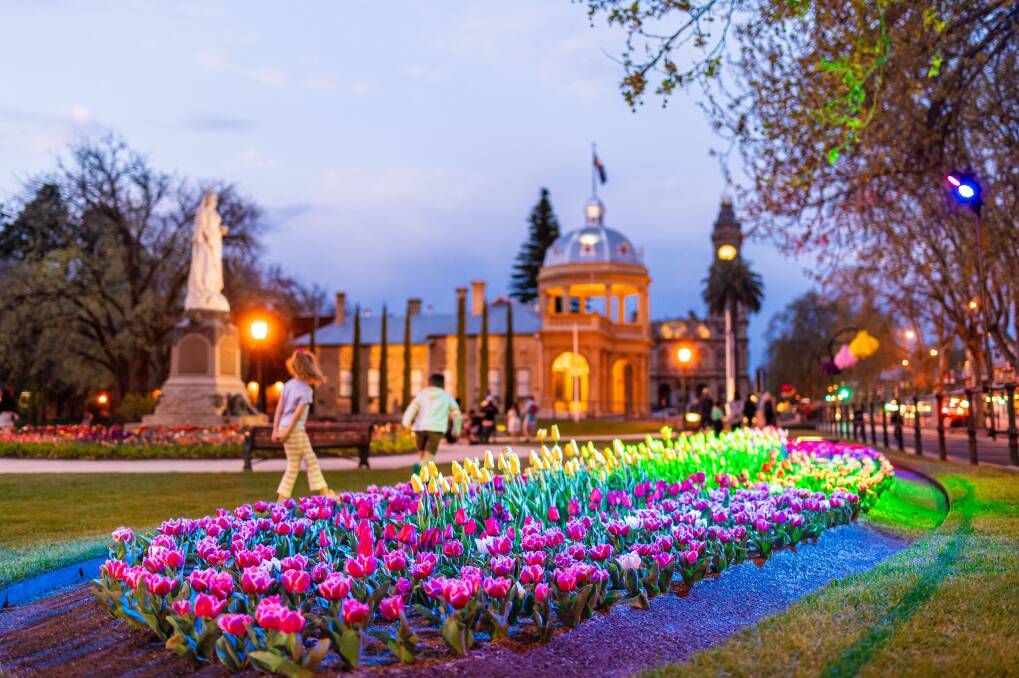 Thousands of spring-time blooms in Bendigo. Thousands of spring-time blooms in Bendigo.