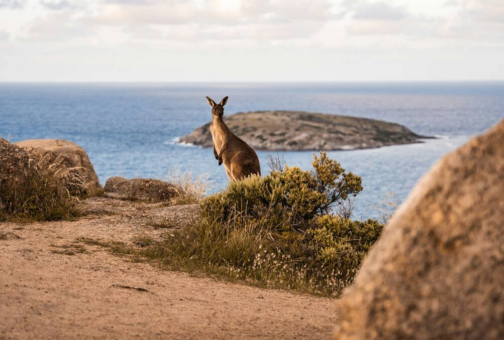 South Australia is one of the most welcoming destinations in the world, according to a new Booking.com report. Picture: Unsplash