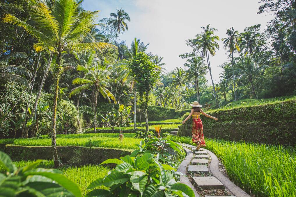Pristine nature in Ubud. Picture: Shutterstock