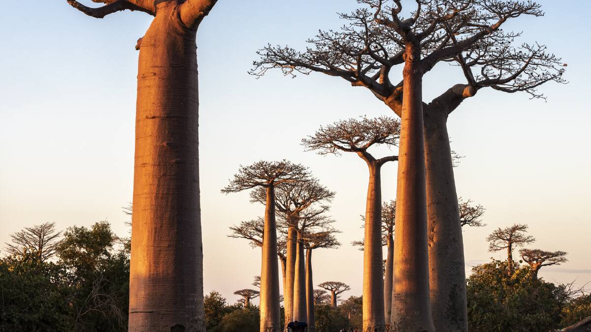 Which of these Indian Ocean island paradises is for you?