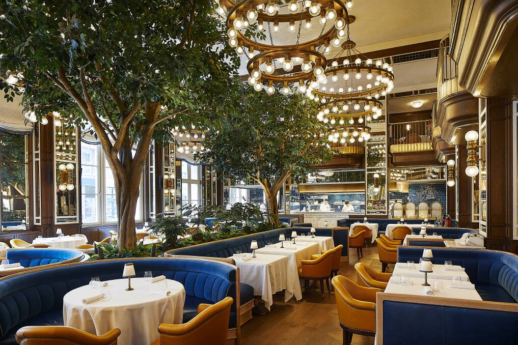 Cafe Carmellini. Cafe Carmellini.