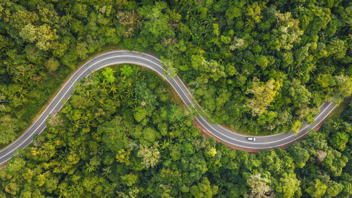 Eungella National Park. Picture by Tourism and Events Queensland