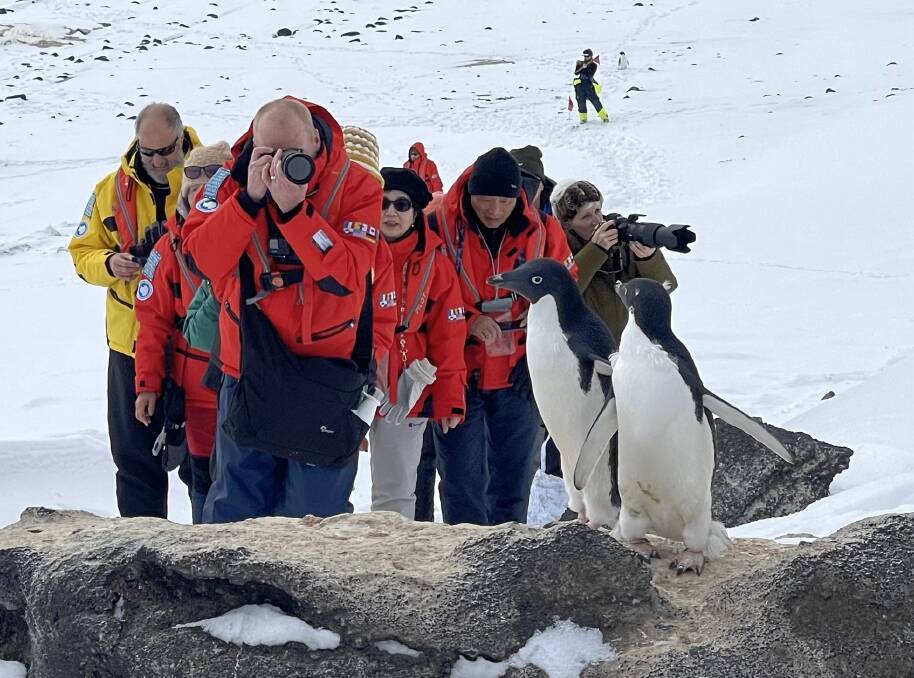 Photographing Adelie penguins. Picture: John-Paul Moloney Photographing Adelie penguins. Picture: John-Paul Moloney