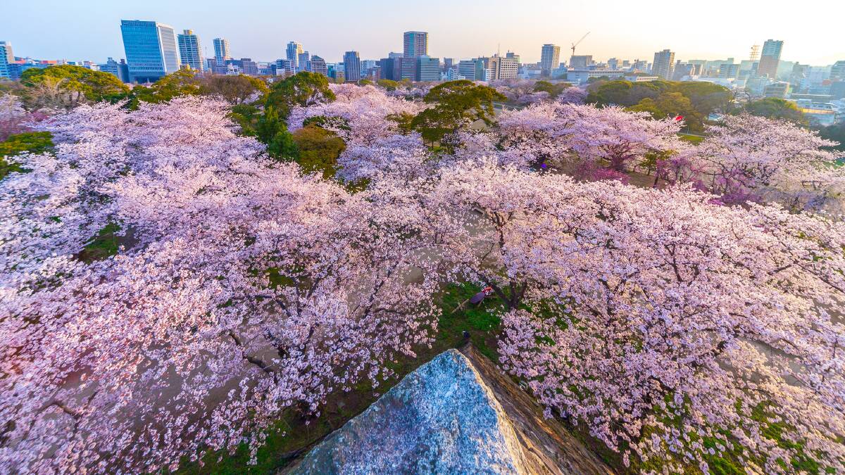 Secret Japan: This unsung city is stealing the show Secret Japan: This unsung city is stealing the show