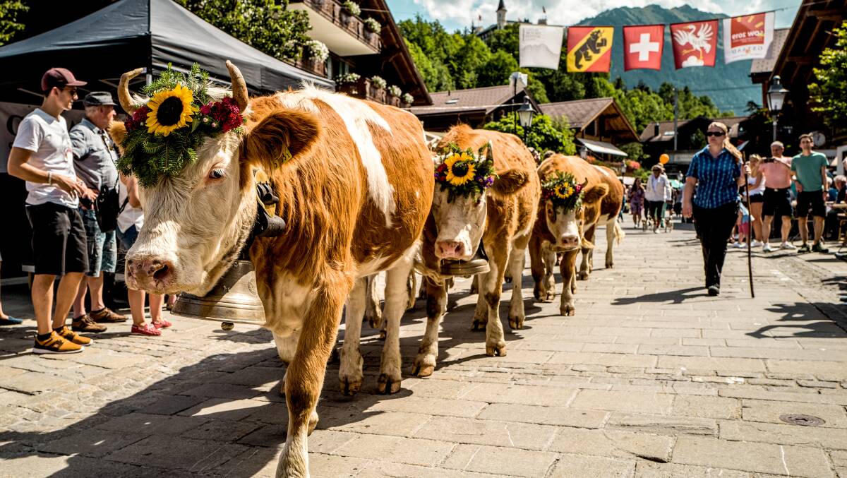 The resort town of Gstaad. Picture: Switzerland Tourism