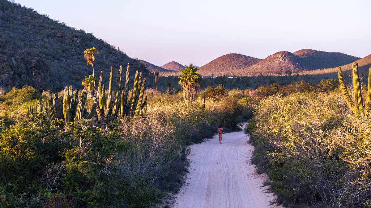Los Cabos. Picture by Visit Los Cabos Los Cabos. Picture by Visit Los Cabos