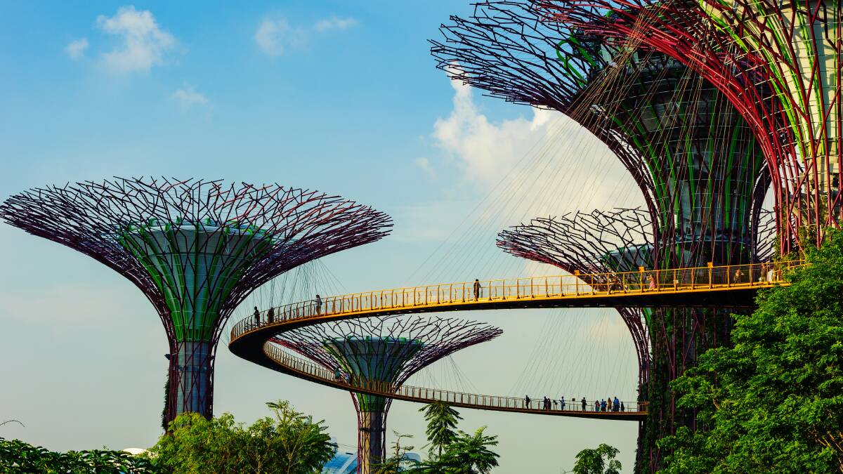 The Sky Walk at Gardens by the Bay. The Sky Walk at Gardens by the Bay.