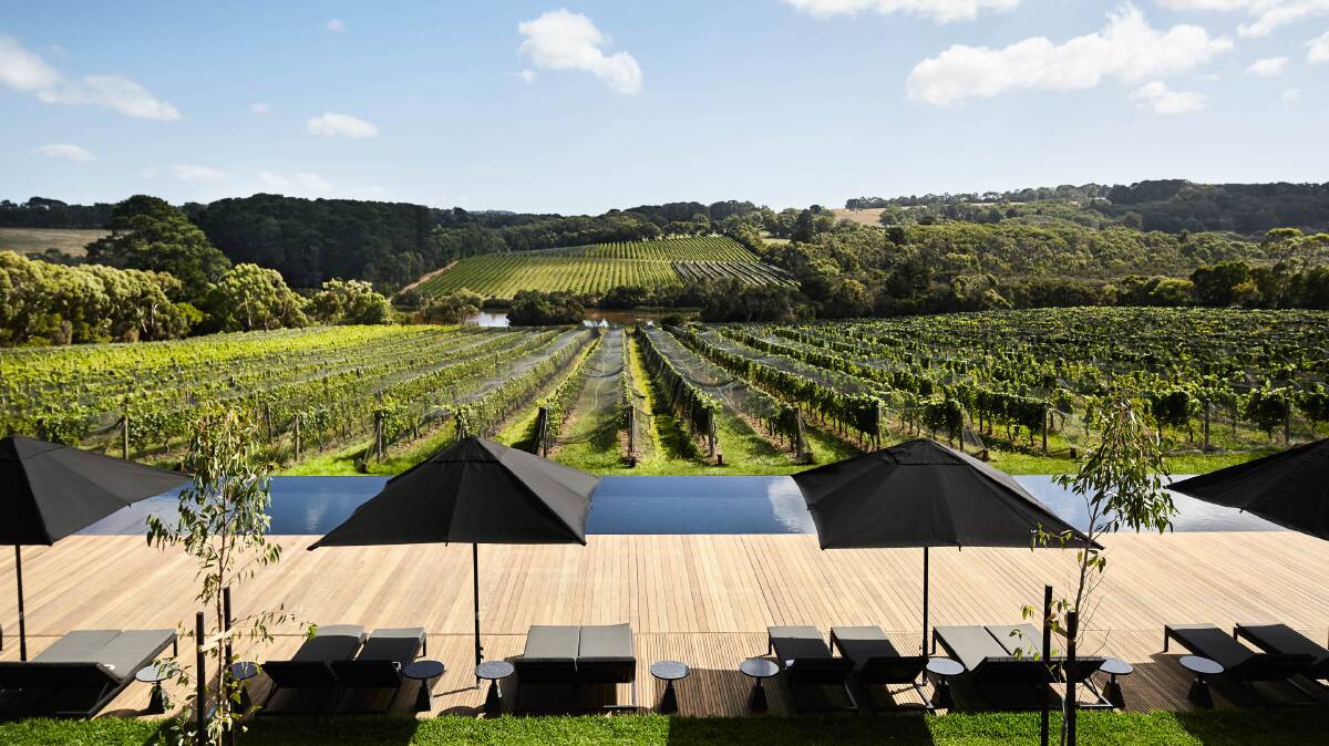 Vineyard views from the pool deck.