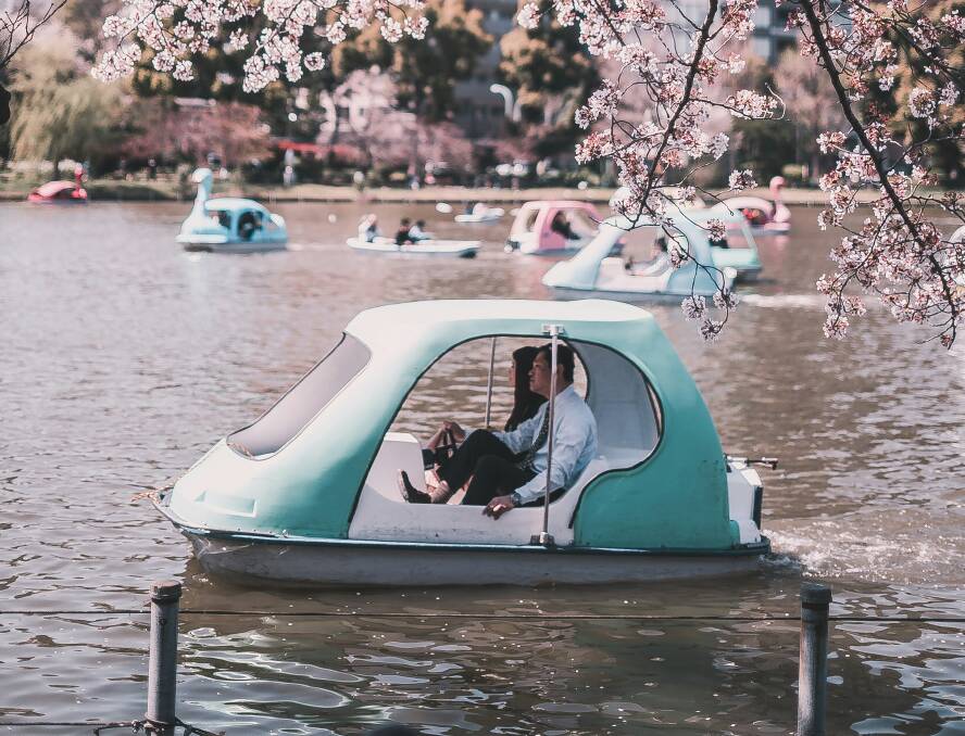 A boating adventure in Tokyo during the sakura season. Picture: Unsplash/Redd F A boating adventure in Tokyo during the sakura season. Picture: Unsplash/Redd F