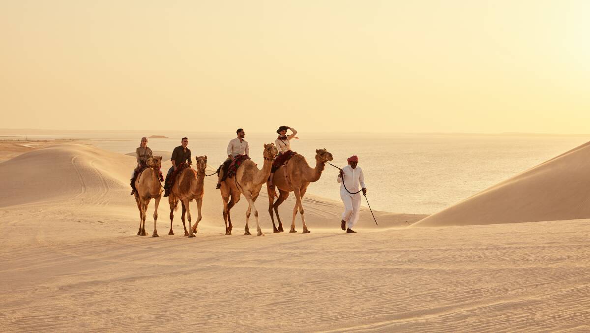 Join a desert safari in Doha, Qatar. Join a desert safari in Doha, Qatar.