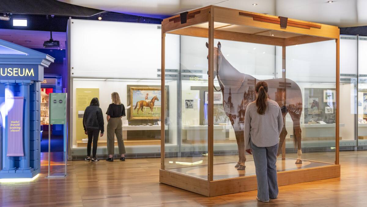 Phar Lap at the Melbourne Museum. Phar Lap at the Melbourne Museum.