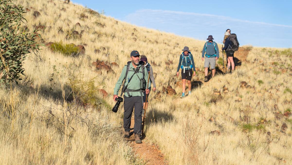 Hiking through the bushland. Hiking through the bushland.
