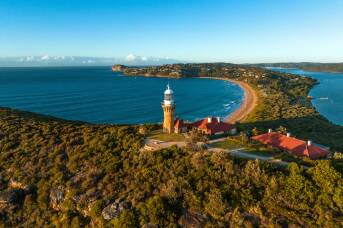 NSW's national parks are breaking records, with one clear crowd favourite emerging