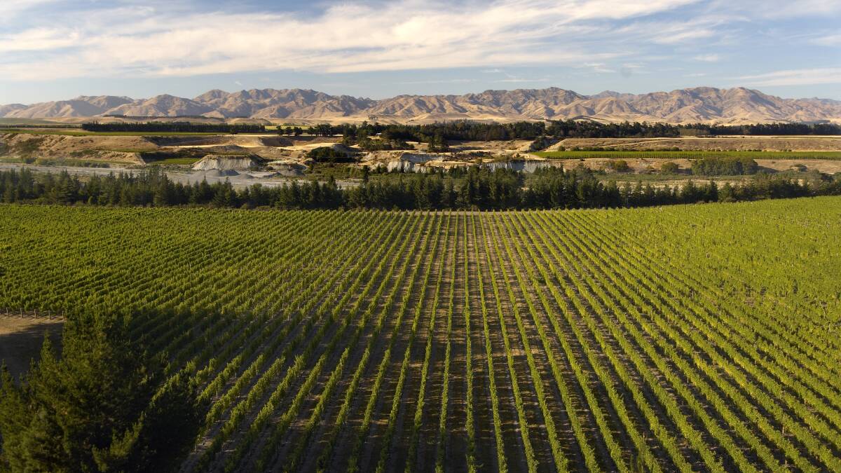 Food, wine and nature ... this New Zealand road trip ticks all the boxes Food, wine and nature ... this New Zealand road trip ticks all the boxes
