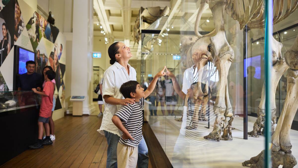 Australian Museum. Picture: Destination NSW Australian Museum. Picture: Destination NSW