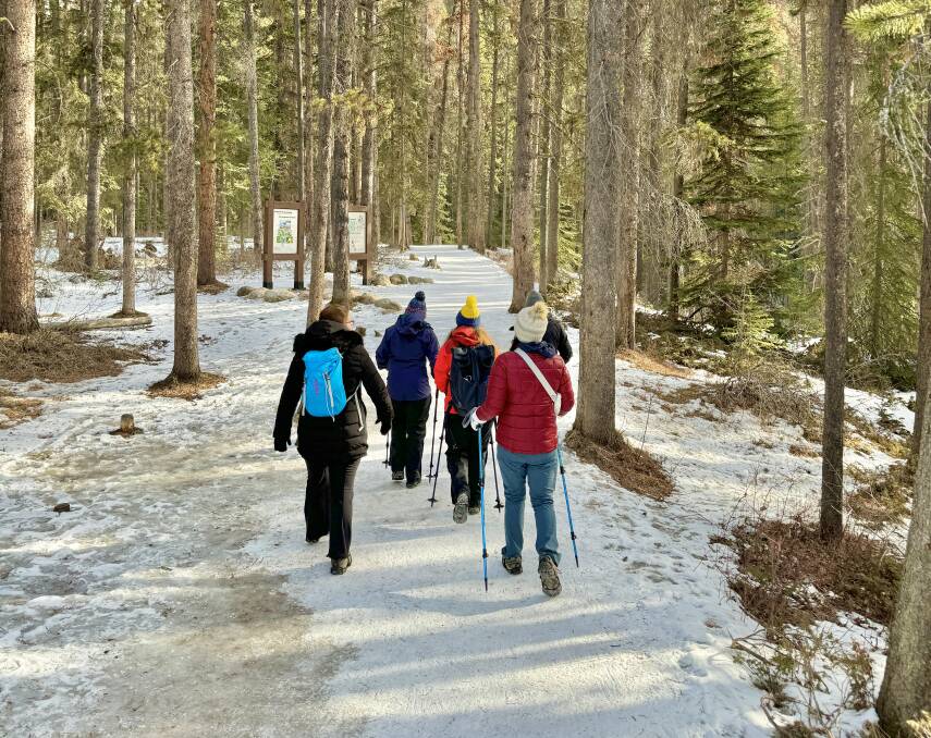 Hiking through Johnston Canyon. Picture: Akash Arora Hiking through Johnston Canyon. Picture: Akash Arora