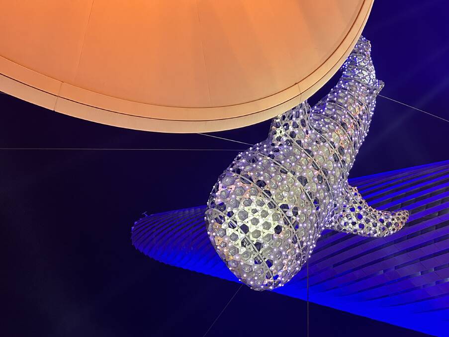 The whale shark installation. 