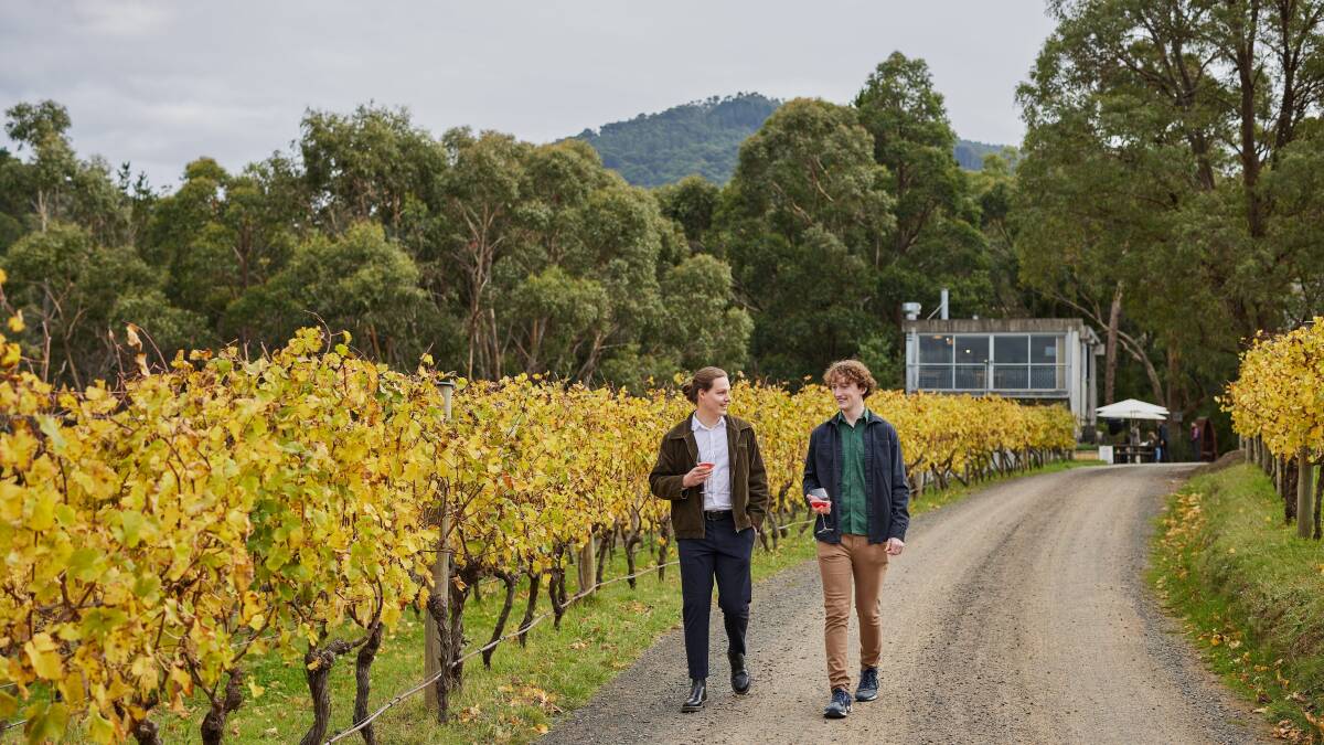 The food and wine scene in this gorgeous part of Victoria is next-level The food and wine scene in this gorgeous part of Victoria is next-level