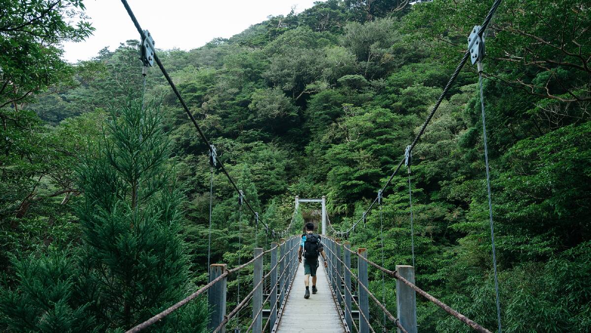 Yakushima Island. Yakushima Island.