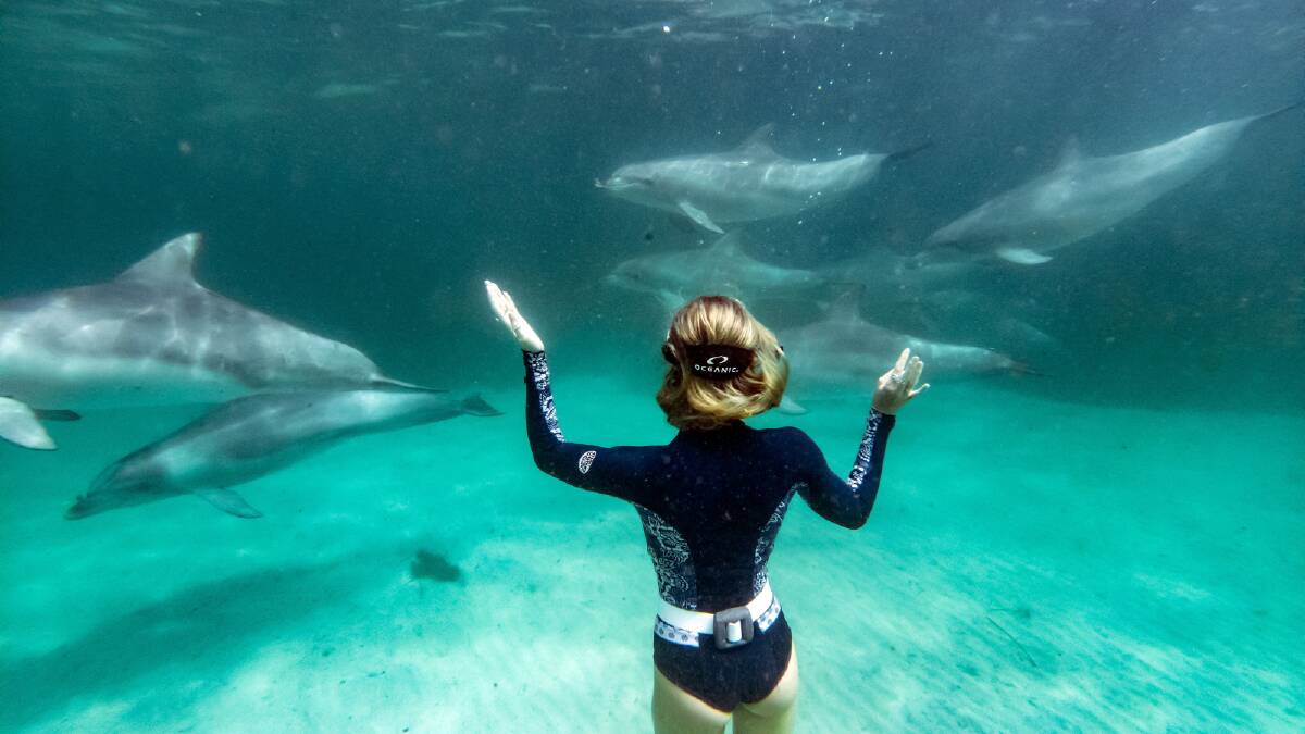 Which Australian island is for you?
