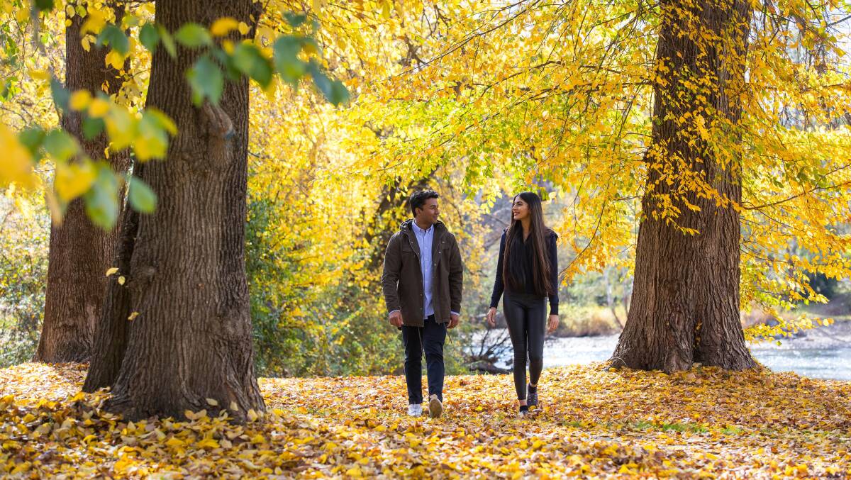 Autumn colours in Tumut. Picture by Destination NSW