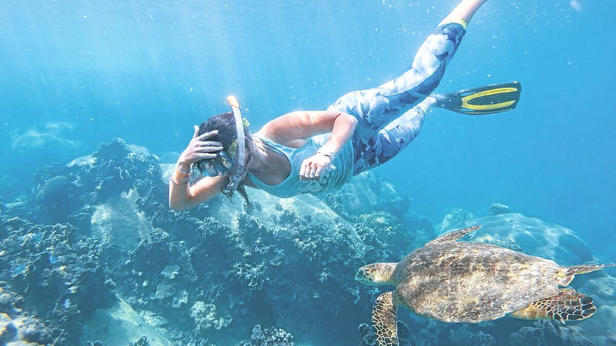 Swimming with turtles. Picture: Shutterstock