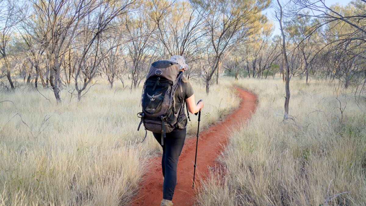 Hiking through the bushland. Hiking through the bushland.