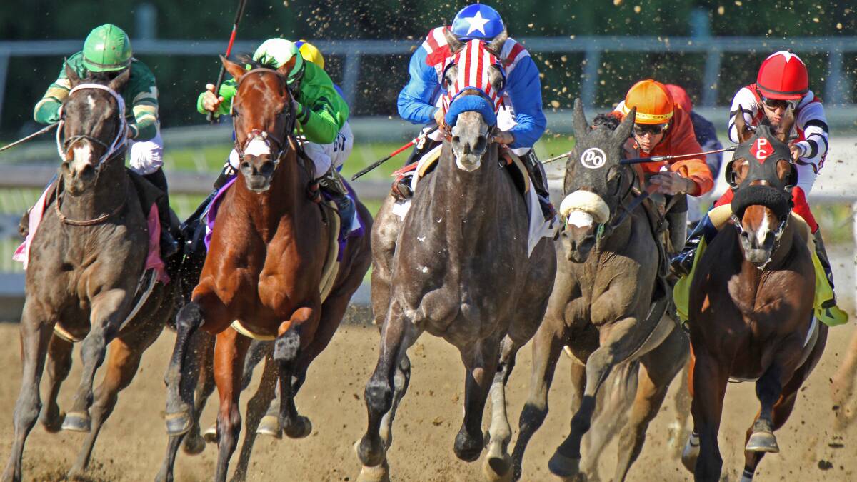 What's your 'happy race' - Melbourne Cup or Kentucky Derby? What's your 'happy race' - Melbourne Cup or Kentucky Derby?