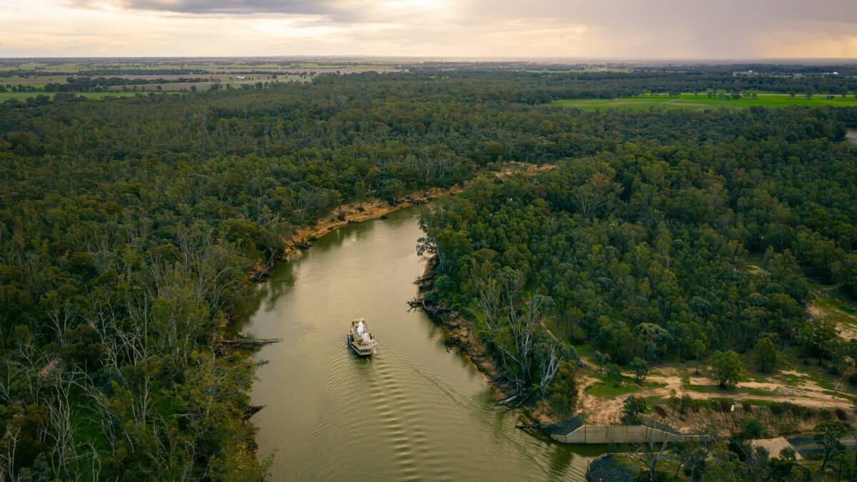 A Murray River cruise. A Murray River cruise.