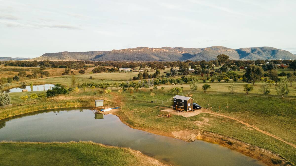 Little Lady, NSW.