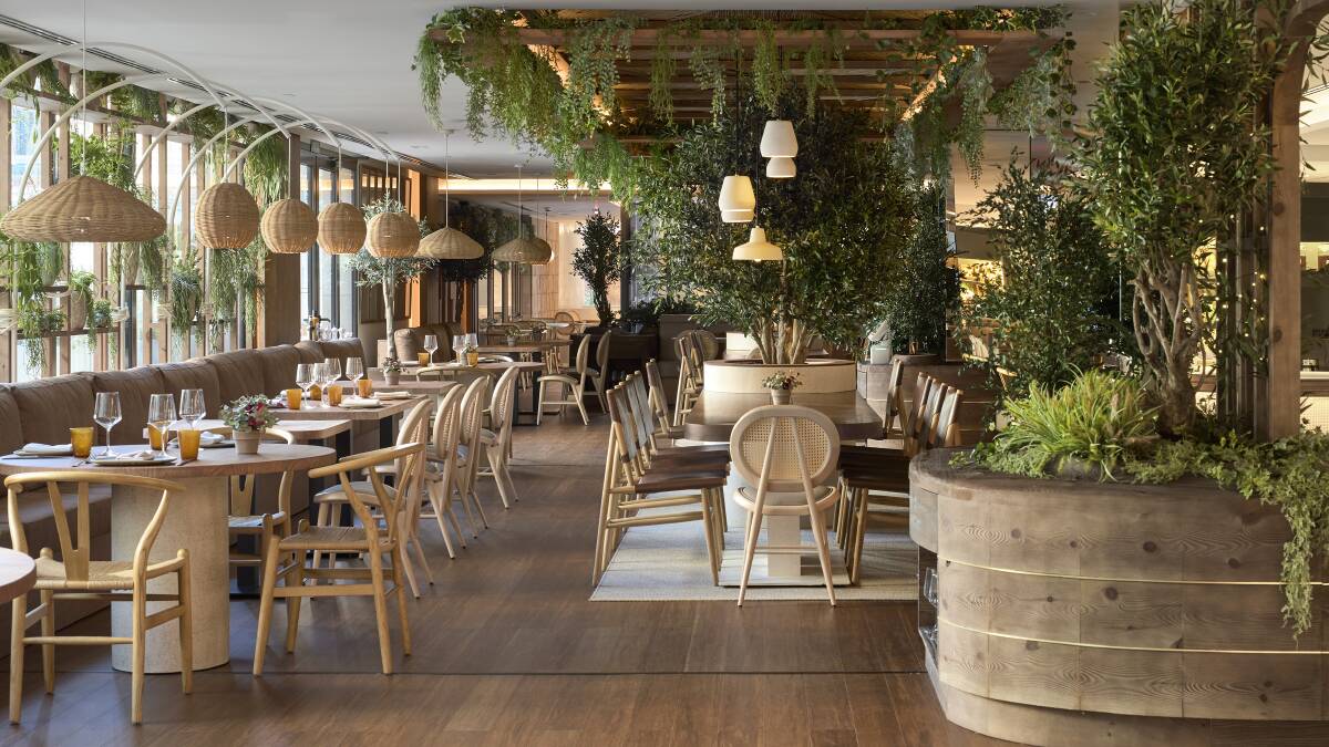 Belbo Terrenal restaurant. Belbo Terrenal restaurant.