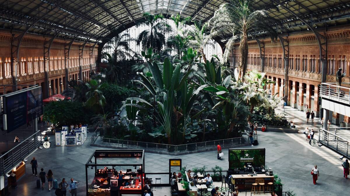 Madrid Atocha Station, Spain. Picture by Unsplash