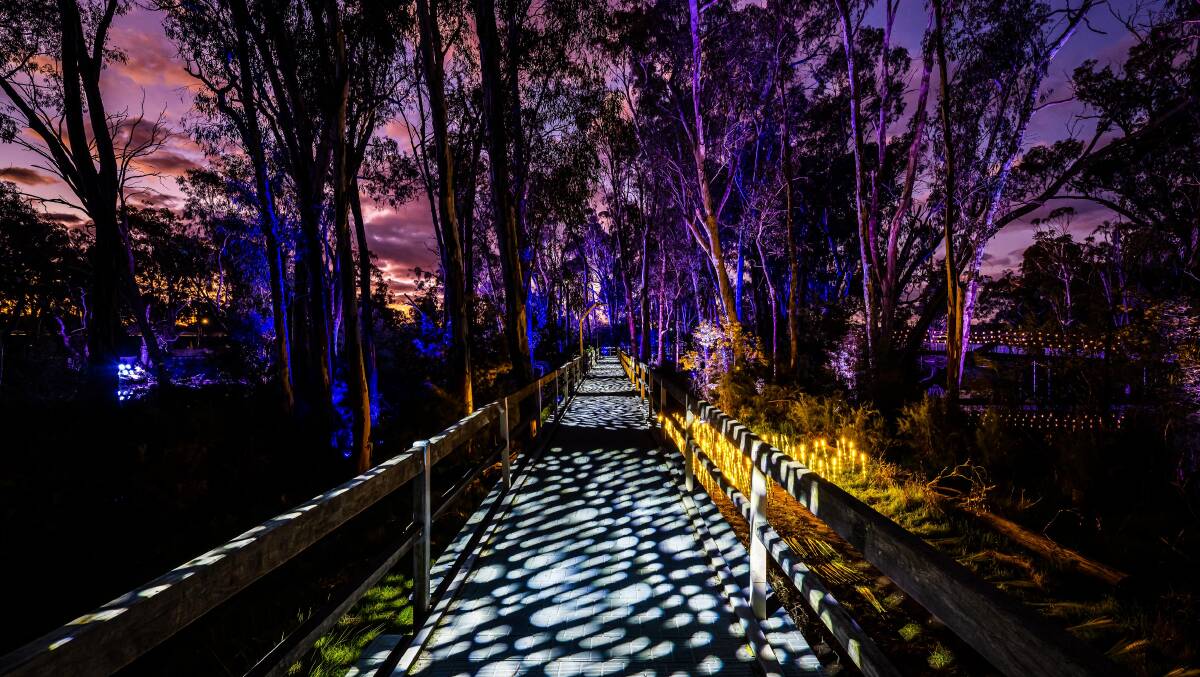 Moama Lights Moama Lights