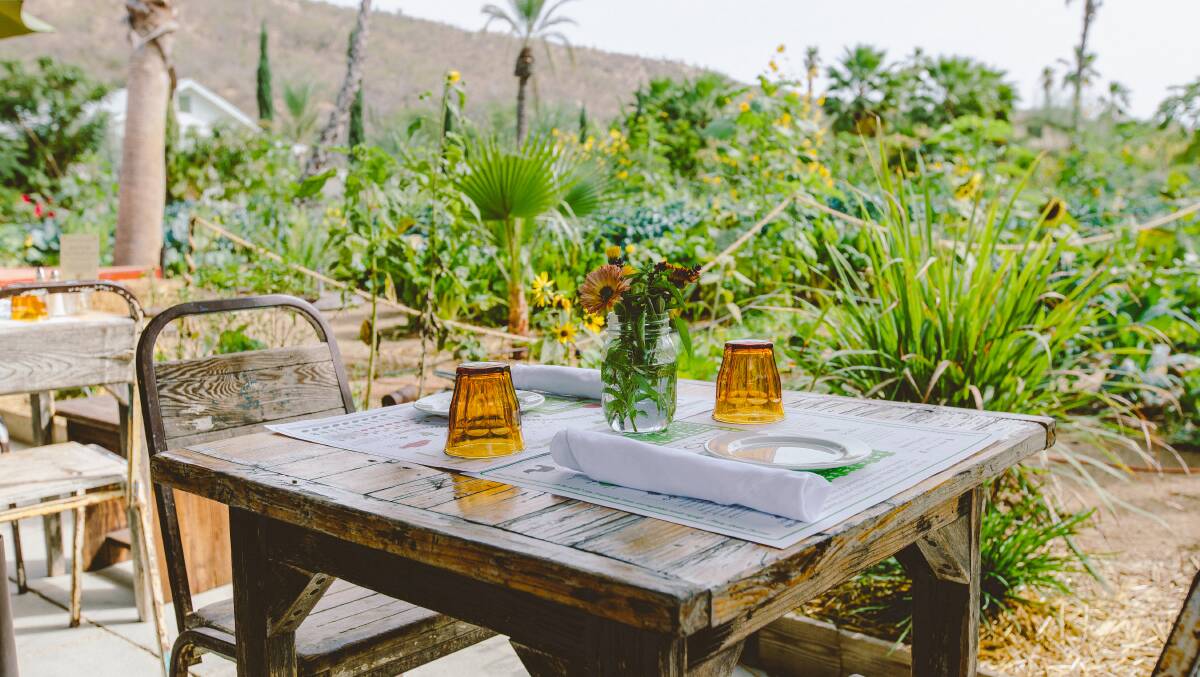 Flora Farms. Picture by Visit Los Cabos Flora Farms. Picture by Visit Los Cabos