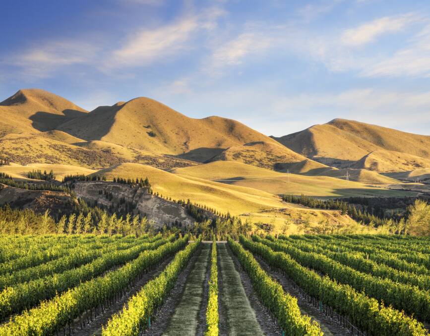 The wine region of Waipara. Picture by Getty Images The wine region of Waipara. Picture by Getty Images