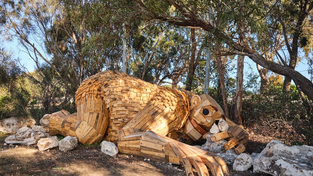 The Giants of Mandurah