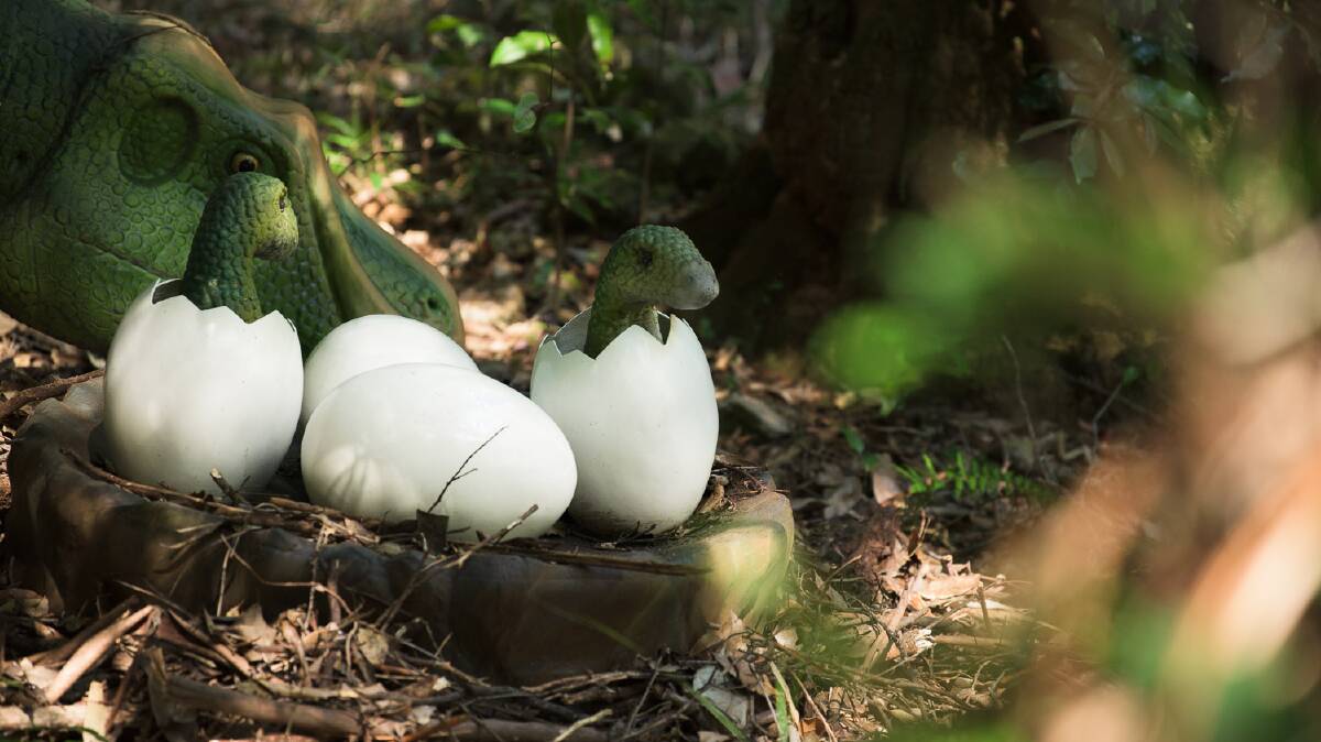 Little dinos emerging from their eggs. Little dinos emerging from their eggs.
